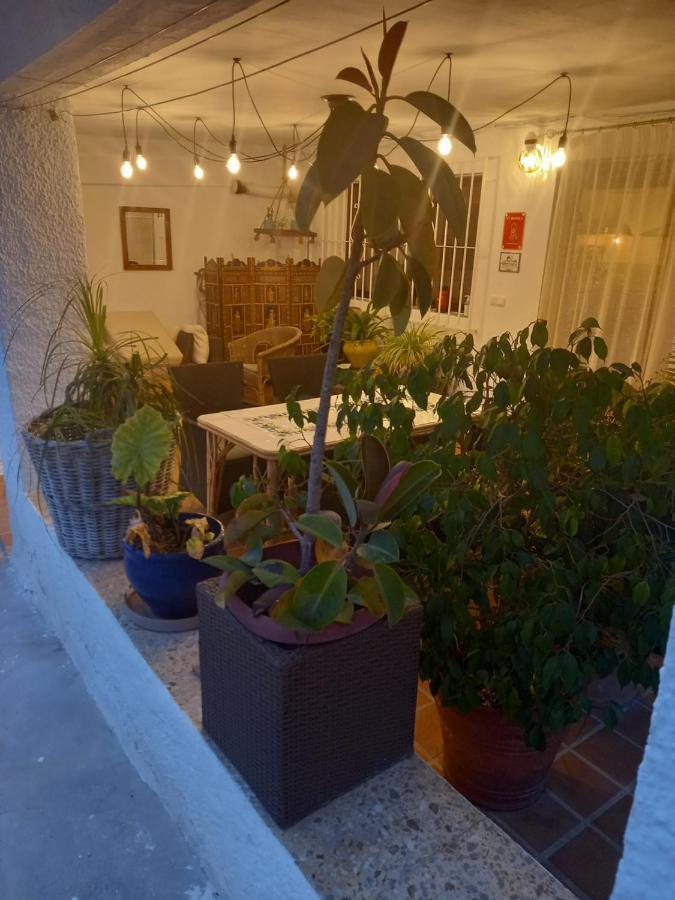 فيلا Casa Eline De Lujo Casco Antiguo Altea Piscina Privada Y Jardin المظهر الخارجي الصورة