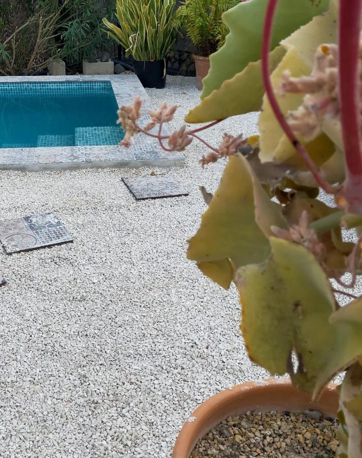 فيلا Casa Eline De Lujo Casco Antiguo Altea Piscina Privada Y Jardin المظهر الخارجي الصورة