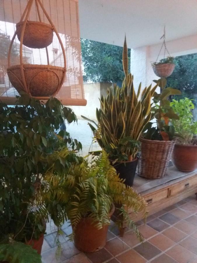 فيلا Casa Eline De Lujo Casco Antiguo Altea Piscina Privada Y Jardin المظهر الخارجي الصورة